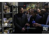 بازدید دادستان استان تهران و هیات همراه از شرکت انبارهای عمومی و خدمات گمرکی امام خمینی(ره) 5