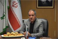 رسانه جدید