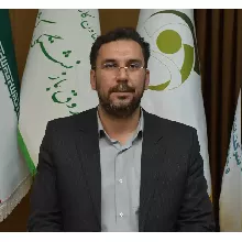 میرحسن علوی