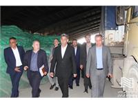دکتر حسنی، سرپرست شرکت انبارهای عمومی و خدمات گمرکی ایران از آغاز عملیات اجرایی احداث تیرپارک بزرگ آستارا تا پایان بهار امسال