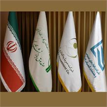 میرحسن علوی