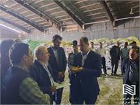 بازدید مدیرعامل و نایب رئیس هیات مدیره شرکت انبارهای عمومی و خدمات گمرکی ایران از شرکت آستارا 6