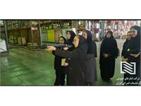 برگزاری برنامه‌های فرهنگی، زیارتی و ورزشی در شرکت انبارهای عمومی امام خمینی(ره) به مناسبت آغاز هفته دفاع مقدس 9