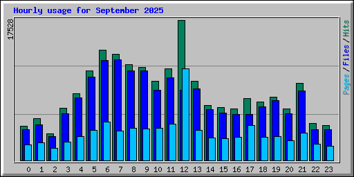 Hourly usage for September 2025