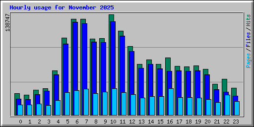 Hourly usage for November 2025