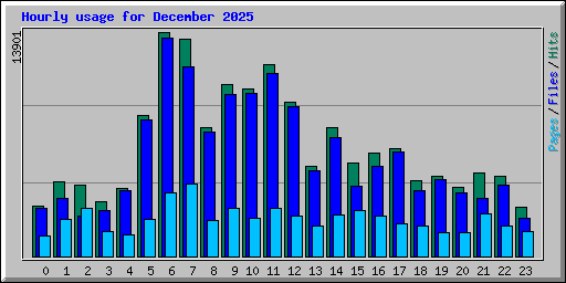 Hourly usage for December 2025