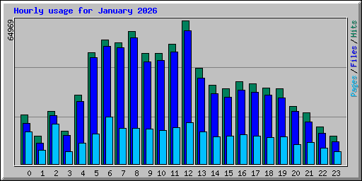 Hourly usage for January 2026