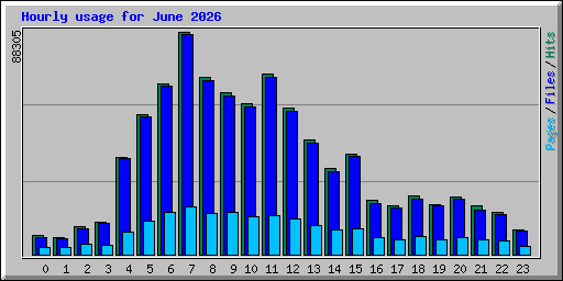 Hourly usage for June 2026